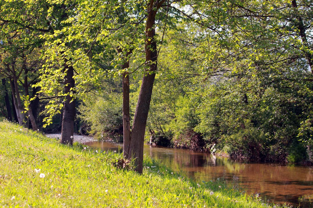 Perperеshka River Villas Stremtsi エクステリア 写真